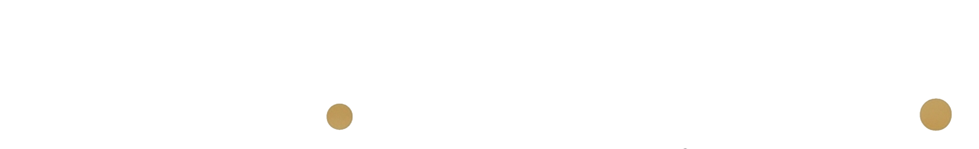 Ink Settle white transparent Logo Horizontal